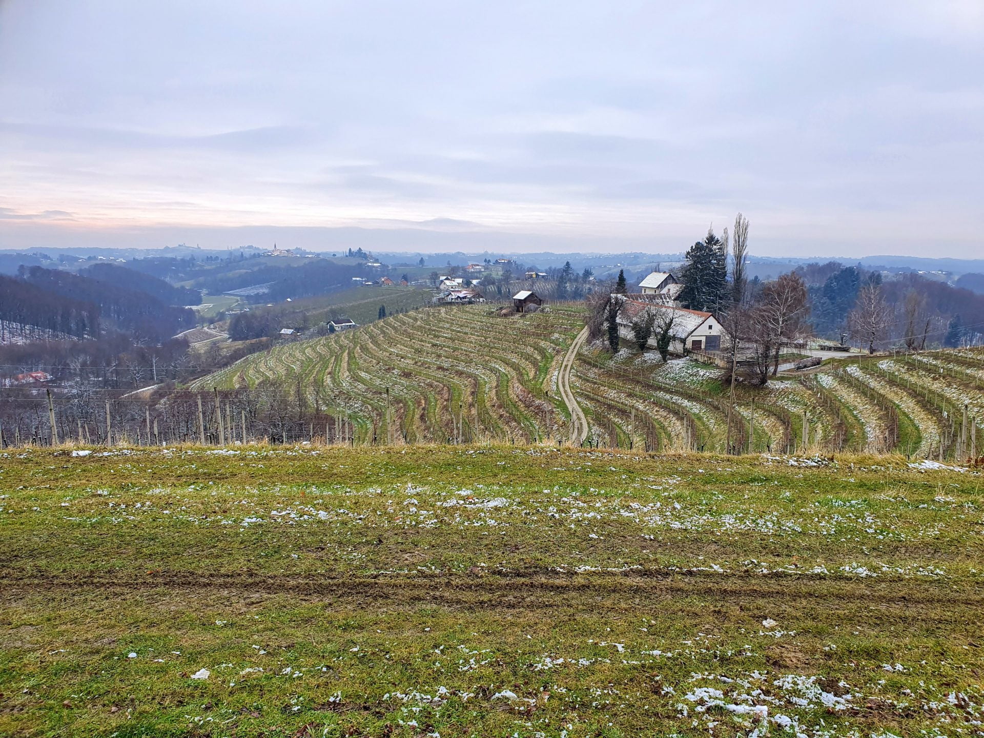 Vinařská oblast Jeruzalem